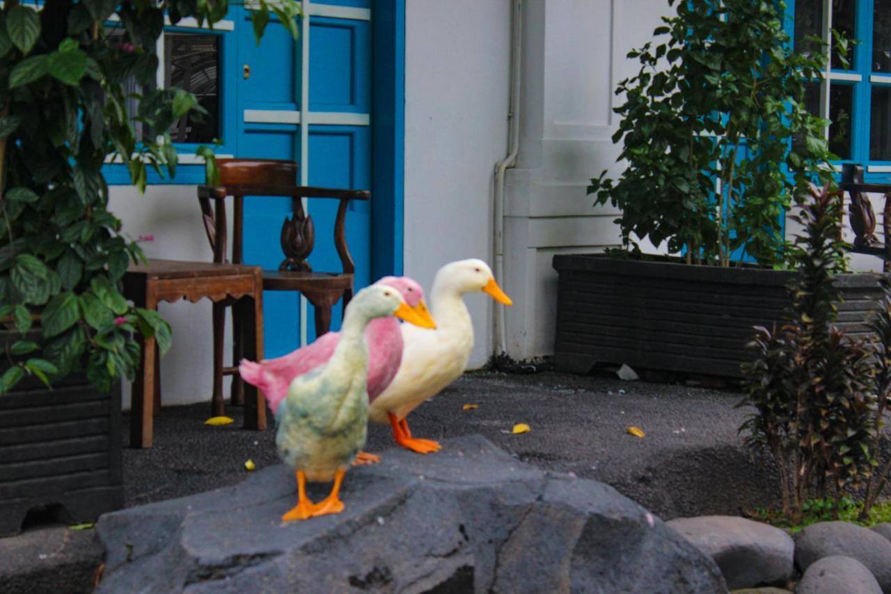 Hotel Merdeka Kediri Kediri  Exterior foto